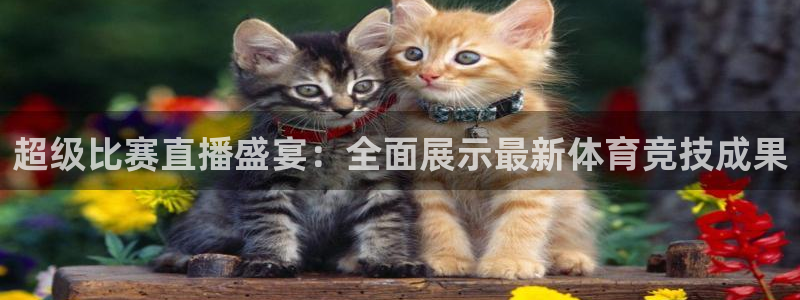 超级比赛直播盛宴：全面展示最新体育竞技成果