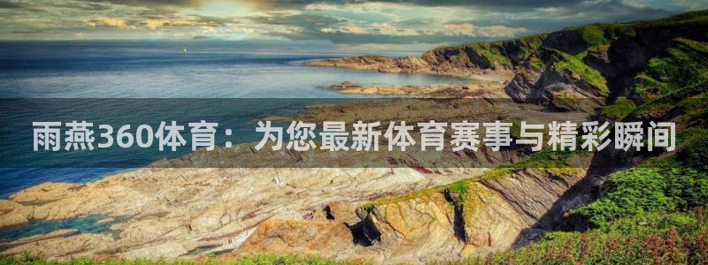 雨燕360体育：为您最新体育赛事与精彩瞬间